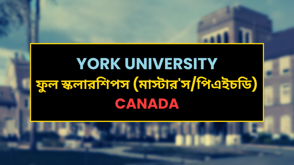 York University Graduate Fellowship