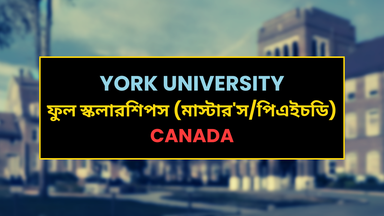 York University Graduate Fellowship_Updated_Pikdigg